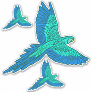 Papegojor i Flight, Aqua och Cobalt Blue Klistermärken