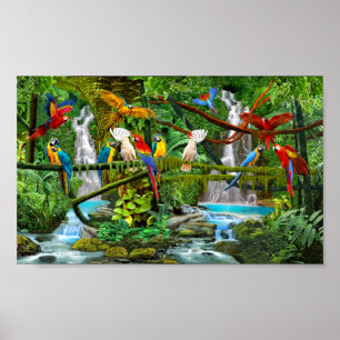 PAPEGOJOR I PARADIS POSTER