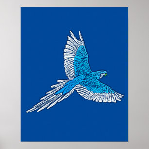 Papegojor, koboltblått och vitt poster