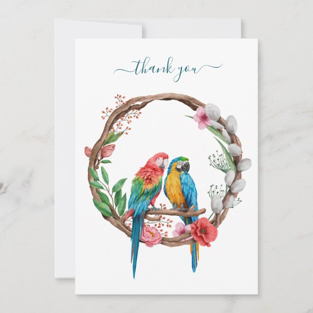 Papegojor Macaw Fåglar Färgglada Blommiga Tacksamh Tack Kort (Framsida)