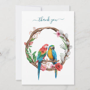 Papegojor Macaw Fåglar Färgglada Blommiga Tacksamh Tack Kort