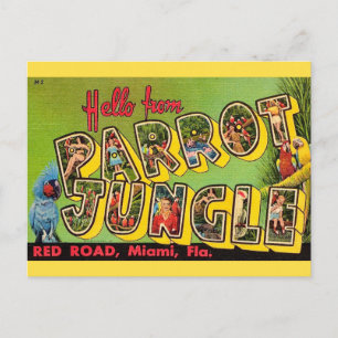 Papegojskogen Miami Vintage vykort