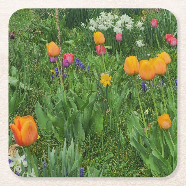 Paper Coaster Underlägg Papper Kvadrat (Framsidan)