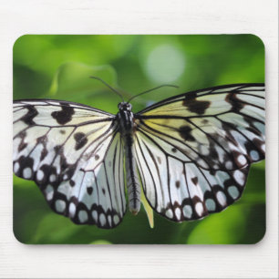 Paperkite Butterfly Musmatta