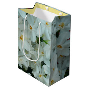 Paperwhite Narcissus delikata vita blommor