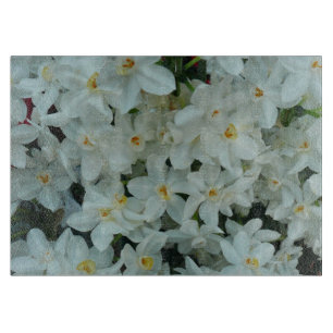 Paperwhite Narcissus delikata vita blommor