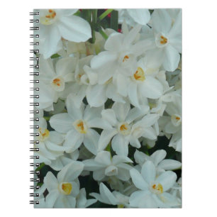 Paperwhite Narcissus delikata vita blommor Anteckningsbok Med Spiral