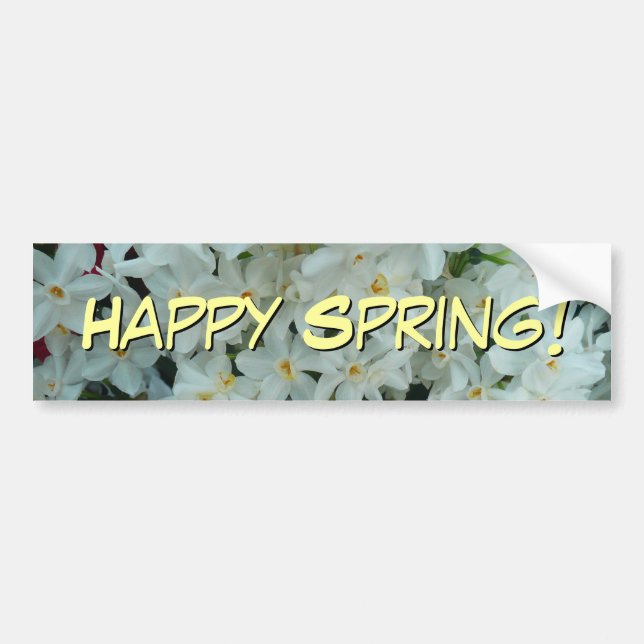 Paperwhite Narcissus delikata vita blommor Bildekal (Framsidan)