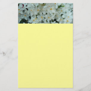 Paperwhite Narcissus delikata vita blommor Brevpapper