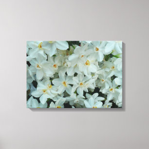 Paperwhite Narcissus delikata vita blommor Canvastryck