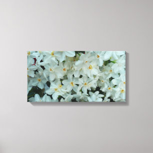 Paperwhite Narcissus delikata vita blommor Canvastryck