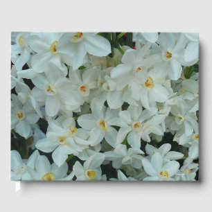 Paperwhite Narcissus delikata vita blommor Gästböcker