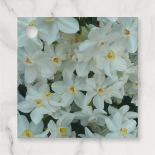 Paperwhite Narcissus delikata vita blommor Gåvor Etiketter