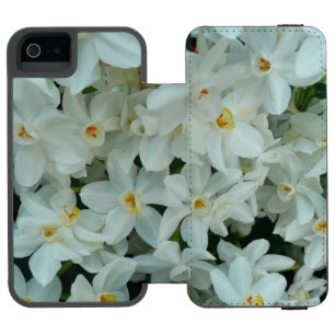 Paperwhite Narcissus delikata vita blommor
