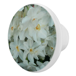 Paperwhite Narcissus delikata vita blommor Knopp
