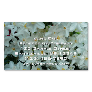 Paperwhite Narcissus delikata vita blommor Magnetiska Visitkort