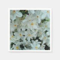 Paperwhite Narcissus delikata vita blommor