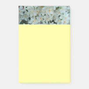 Paperwhite Narcissus delikata vita blommor Post-it Block
