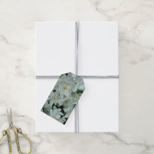 Paperwhite Narcissus delikata vita blommor Presentetikett