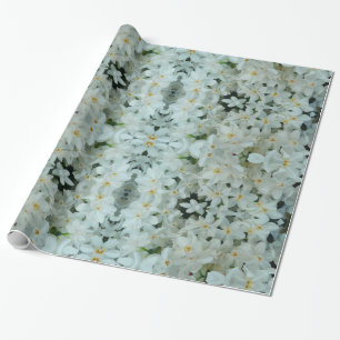 Paperwhite Narcissus delikata vita blommor Presentpapper