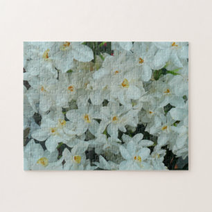 Paperwhite Narcissus delikata vita blommor Pussel