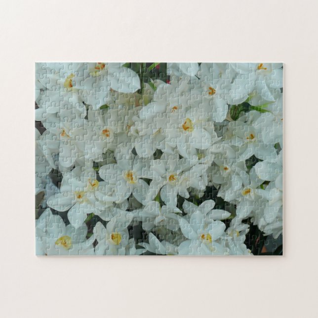 Paperwhite Narcissus delikata vita blommor Pussel (Horisontell)