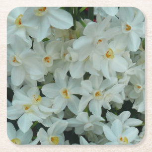 Paperwhite Narcissus delikata vita blommor Underlägg Papper Kvadrat