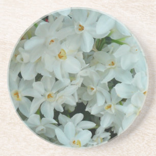 Paperwhite Narcissus delikata vita blommor Underlägg Sandsten