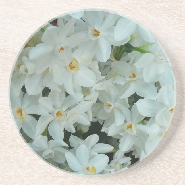 Paperwhite Narcissus delikata vita blommor Underlägg Sandsten (Framsidan)