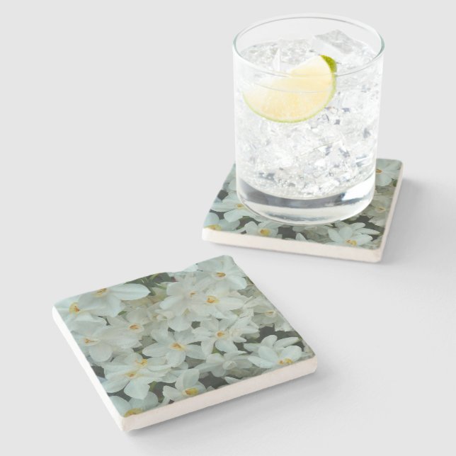 Paperwhite Narcissus delikata vita blommor Underlägg Sten (Sidan)