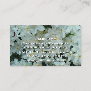 Paperwhite Narcissus delikata vita blommor Visitkort