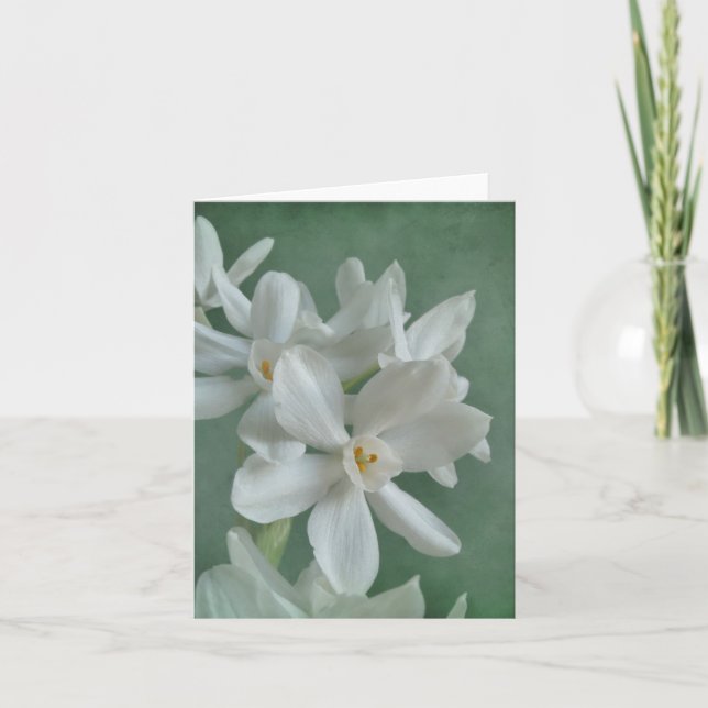 Paperwhite Narcissus Note Card Kort (Framsida)