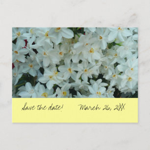 Paperwhite Narcissus "Save the Date" vykort
