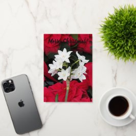 Paperwhites and Red Poinsettias Blommigt