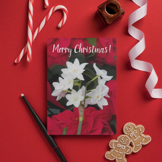 Paperwhites och Red Poinsettias Blommigt jul Kort (In Situ)