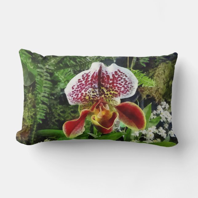 Paph Fiordland Sunset Orkidé Lumbarkudde (Framsida)