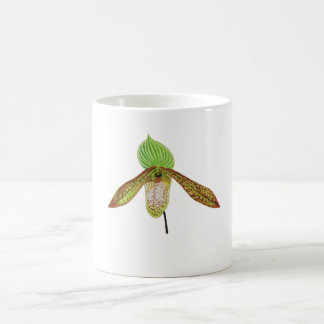 Paphiopedilum Orkidé Botanisk Akvarellmålning Kaffemugg