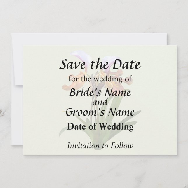 Paphiopedilum Orkidéer Sammanflätade Spara Datumet (Framsida)