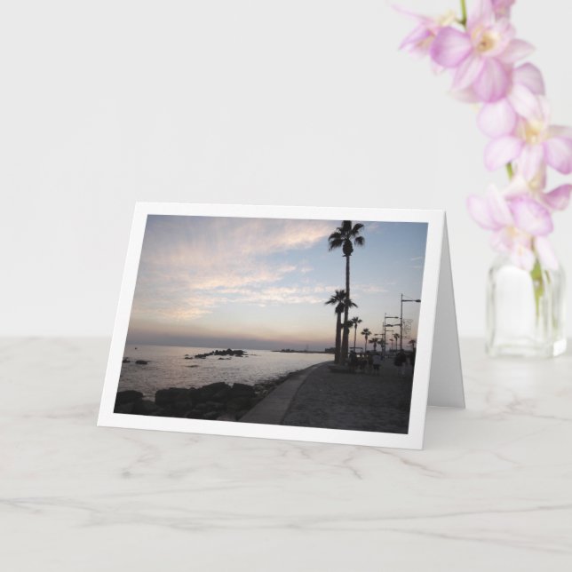 Paphos på natten, Cyperns landskap Kort (Orkide)