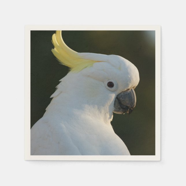 Papierservietten Kakadu Pappersservett (Framsidan)