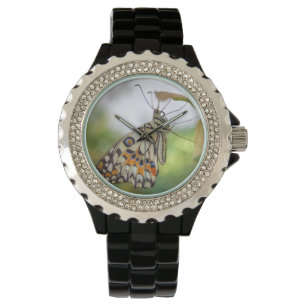 Papilio demoleus armbandsur