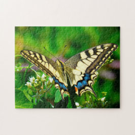 Papilio Machaon Butterfly. Pussel