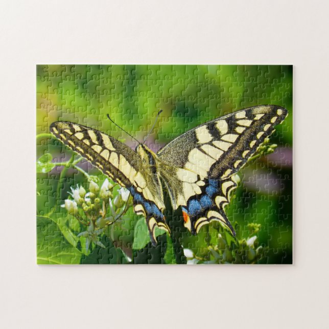 Papilio Machaon Butterfly. Pussel (Horisontell)