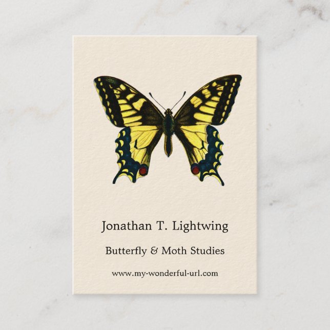 Papilio machaon - Old World Swallowtail Butterfly Visitkort (Framsida)