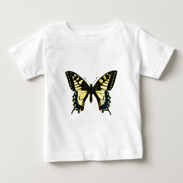 Papilio machaon tee (Framsida)