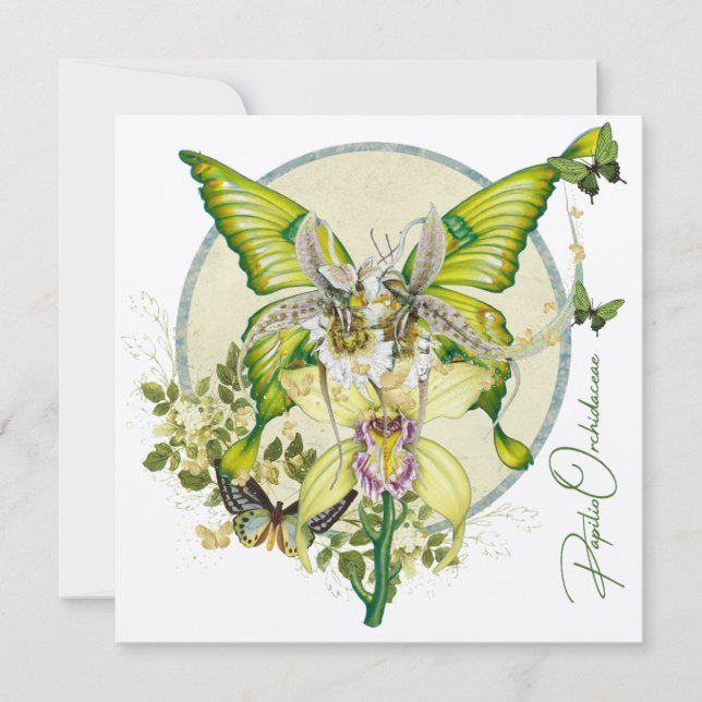 Papilio Orchidaceae (Framsida)