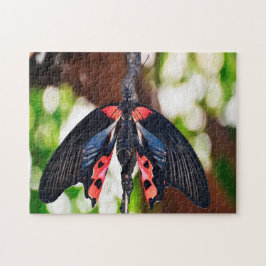 Papilio Rumanzovia Fjäril. Pussel