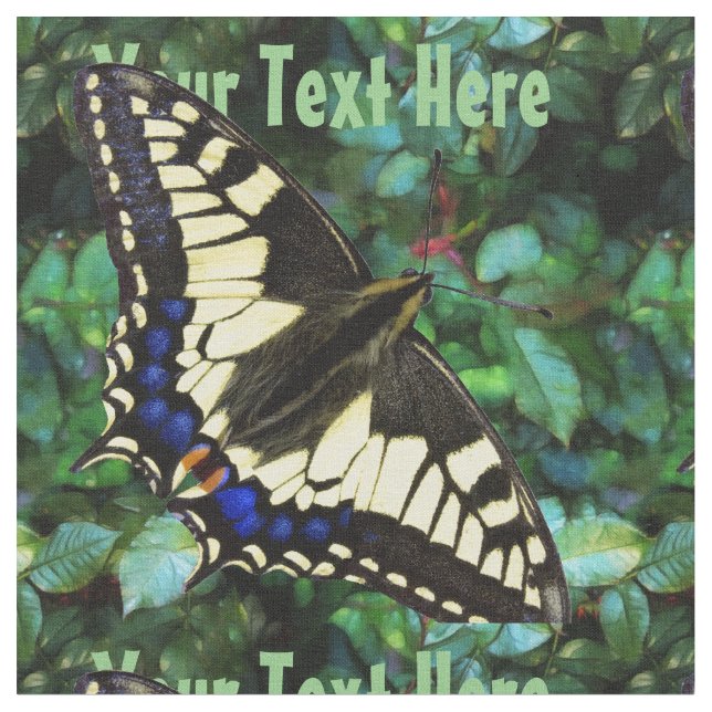 Papilio Swallowtail Tyg (Närbild)