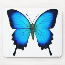 Papilio Ulysses fjäril Mousepad Musmatta