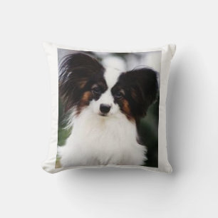 Papillon 2 kudde